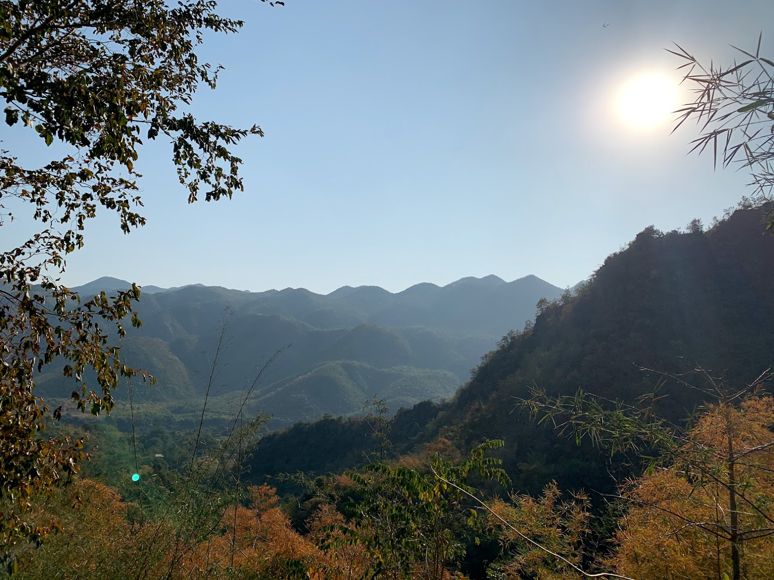 mountain forest with sunshine